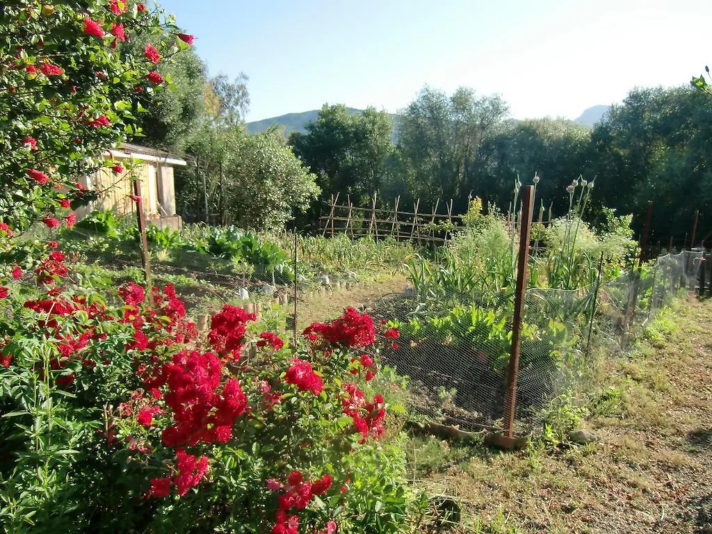 El Diplomatico Feo - The Ugly Diplomat Bed & Breakfast San Pablo Spain